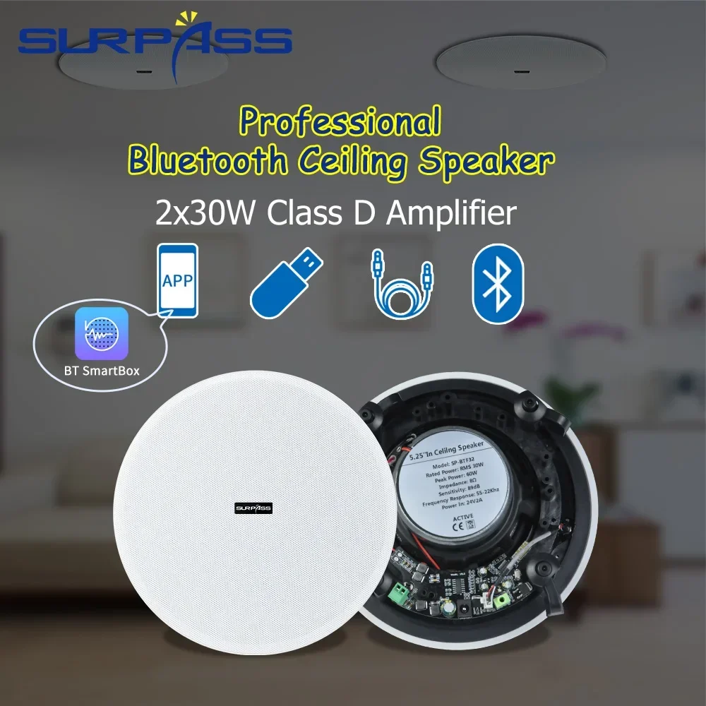 Ceiling Bluetooth Speaker 5.25 - Home Cinema Bluetooth 5.1 recension och pris
