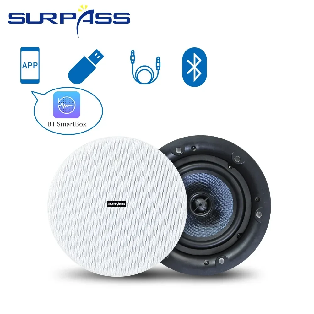 Ceiling Bluetooth Speaker 5.25 - Home Cinema Bluetooth 5.1 recension och pris